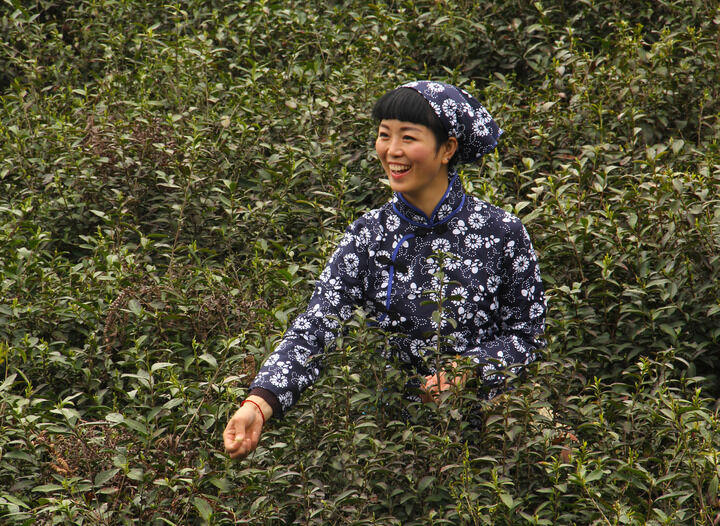 热门9